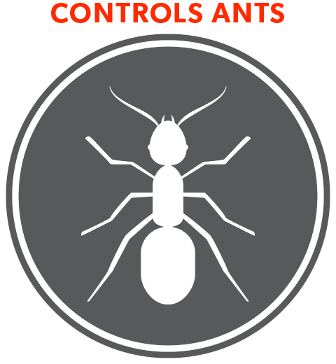 REALLY SERIOUS! PRO<sup>®</sup> INVADER MAX ANT & COCKROACH BAIT